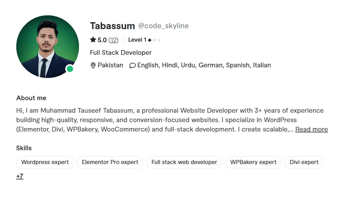 Second Fiverr profile